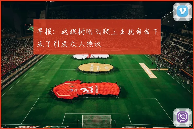 早报：这棵树刚刚爬上去就匆匆下来了引发众人热议