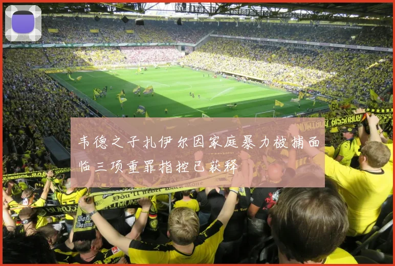 韦德之子扎伊尔因家庭暴力被捕面临三项重罪指控已获释