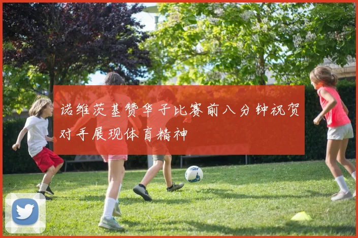 诺维茨基赞华子比赛前八分钟祝贺对手展现体育精神